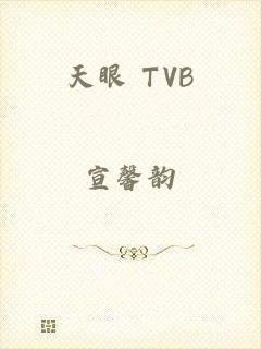 天眼 TVB